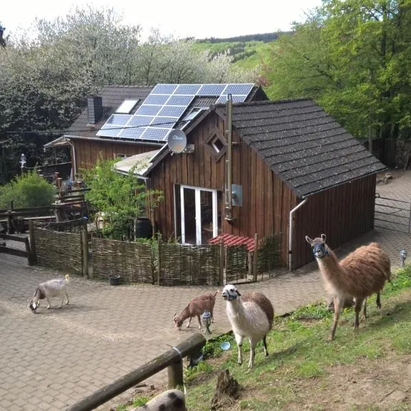 Funny-Farm, hotel in Sassen