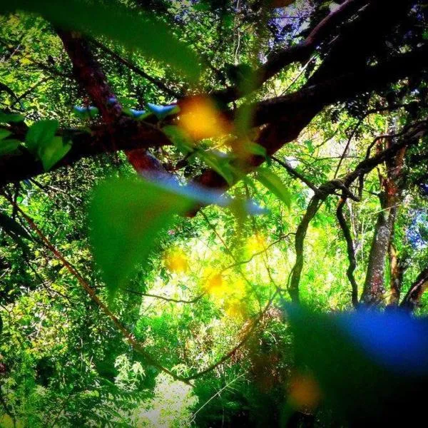 Samadhi Nature Resort, hotel in Ella