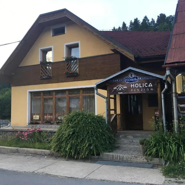 Chata Holica PIENINY，位于Lesnica的酒店