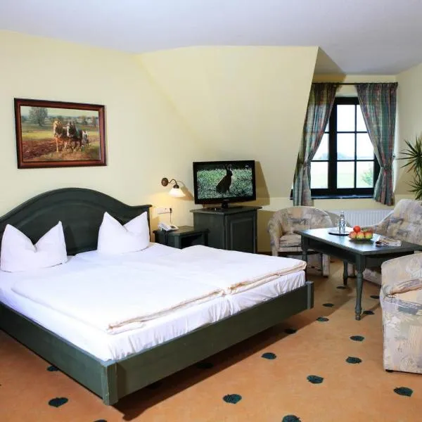 Müritz Landhotel Grüner Baum, hotel en Gotthun