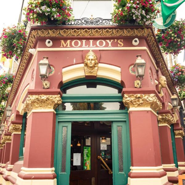 Molloys Apartments