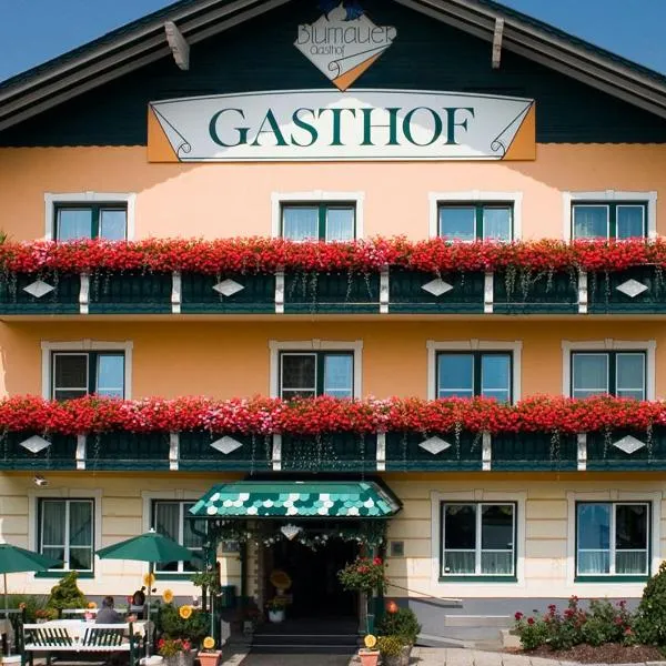 Hotel Blumauer, hotel in Rainbach im Mühlkreis