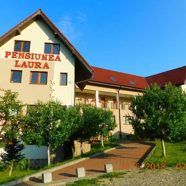 Pension Laura Cheile Turzii, ξενοδοχείο σε Petreştii de Jos