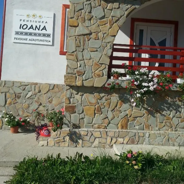 Pensiunea Agroturistica Ioana, hotel v destinaci Brăduleţ