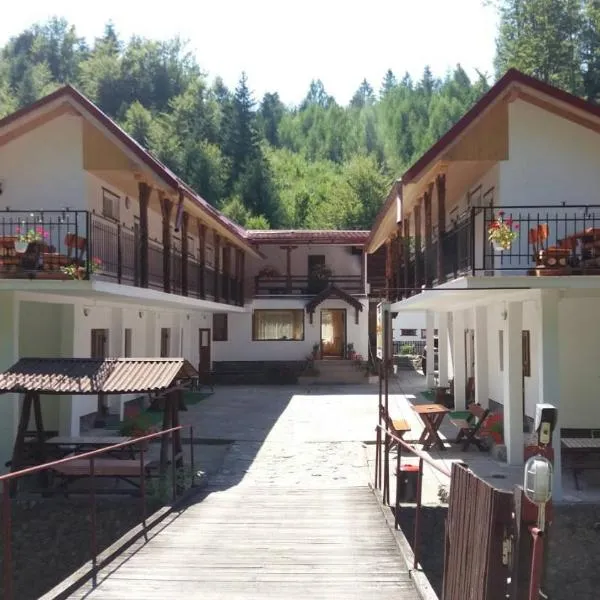 Complex Cazare Balea Transfagarasan, Hotel in Cîrţişoara