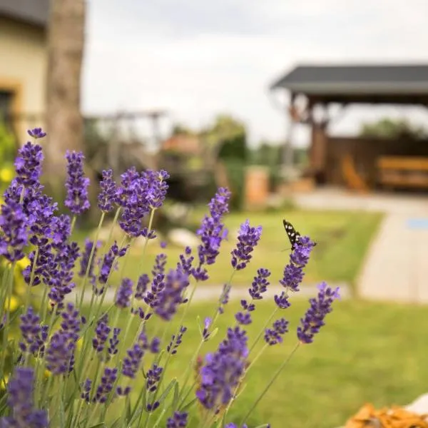 Penzion Živá Pálava，位于克伦特尼采的酒店