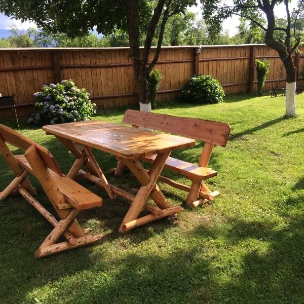 Pensiunea Bujor de Munte, hotel in Cîrţişoara