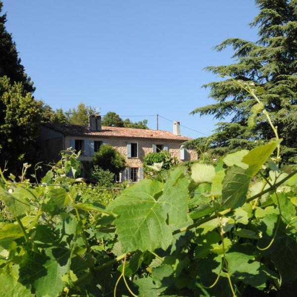 Les Vignes de Terrisse