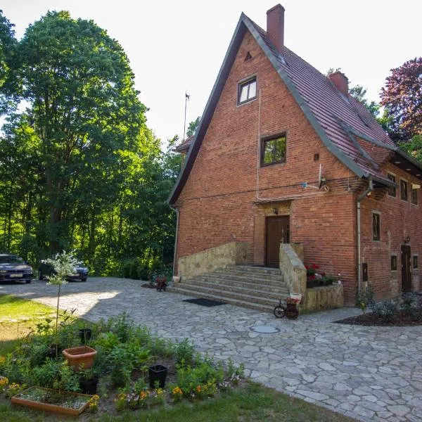 Willa Alkor, hotel v destinaci Drzeńsko
