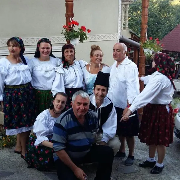 Casa Ionela Petreus, ξενοδοχείο σε Poienile Izei