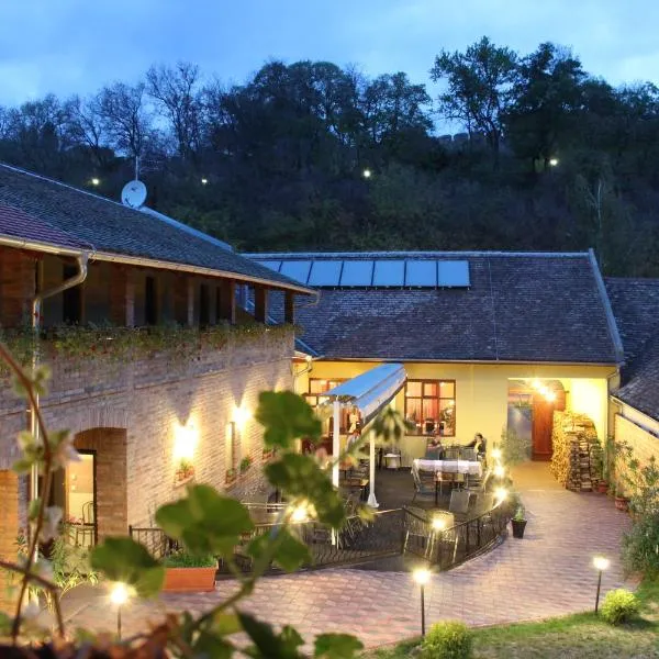 Rooms Villa Iva, Hotel in Ilok