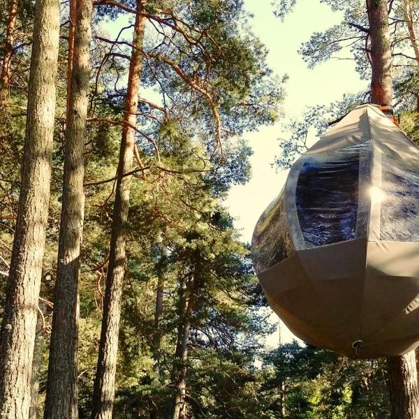 Feeling cone: Jūrmala şehrinde bir otel