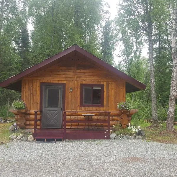 Talkeetna Fireweed Cabins, hotel in Talkeetna