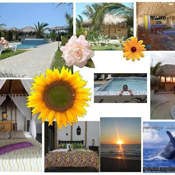 Bora Bora Bungalows, hotel en Los Órganos