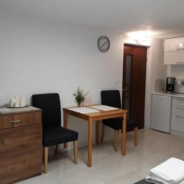 Studio, hotel v Krakově