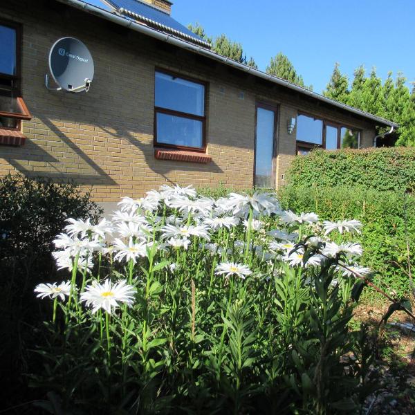 Æbelø-guidens B&B