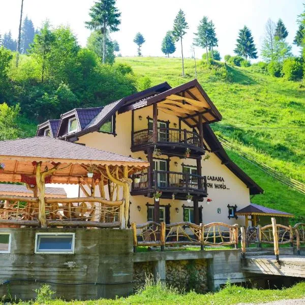 CASA Non Nobis Dambovicioara, hotel in Dîmbovicioara