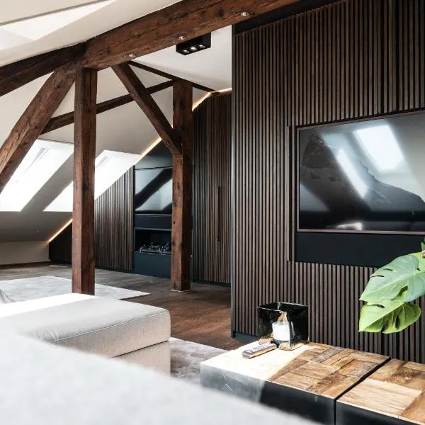 Le Bijou LQ80 Penthouse with Terrace, hotel in Zurich