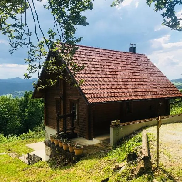Romantic Cottage House、Žužemberkのホテル