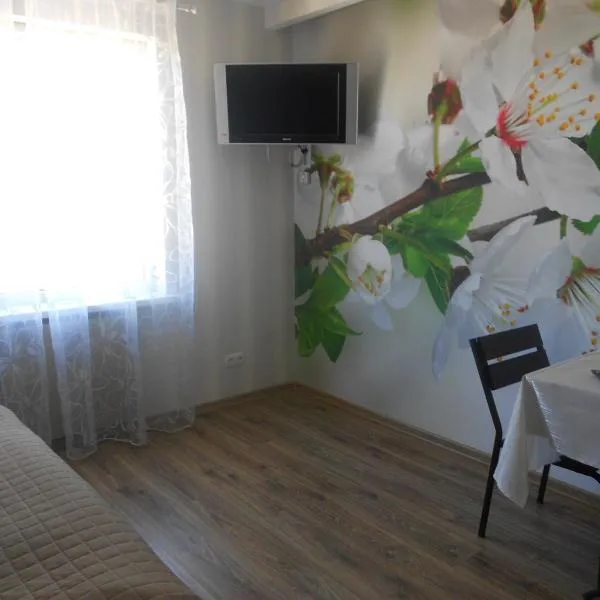 квартира-студия в г. Кропивницком (Кировограде), hotell sihtkohas Kropõvnõtskõi