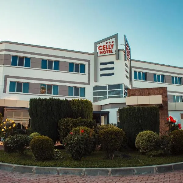 Celly Hotel: Piteşti şehrinde bir otel