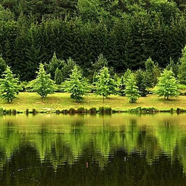 Tavi Vendégház, hôtel à Szentgotthárd