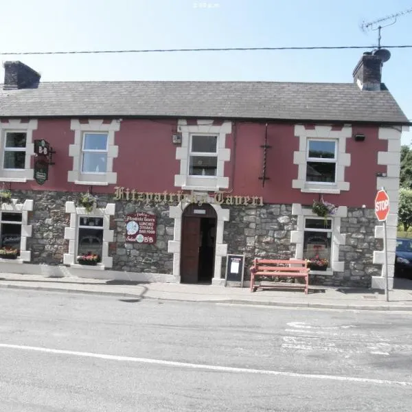 Fitzpatrick's Tavern and Hotel，位于卡文的酒店