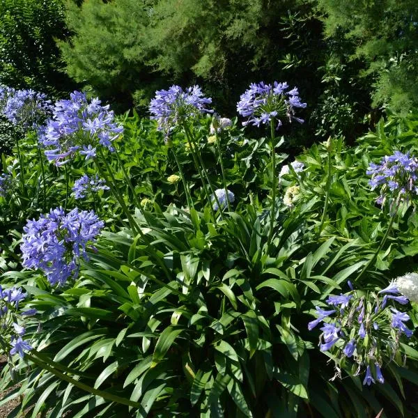 Villa Argi Eder, hotel in Saint-Jean-de-Luz