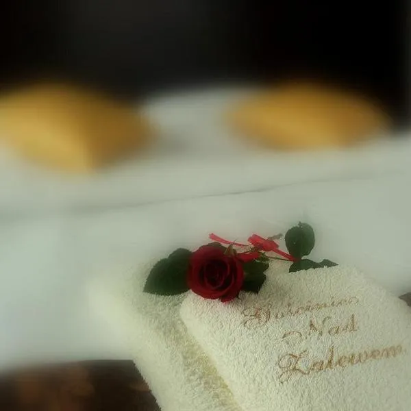 Gościniec nad Zalewem，位于波德古任的酒店