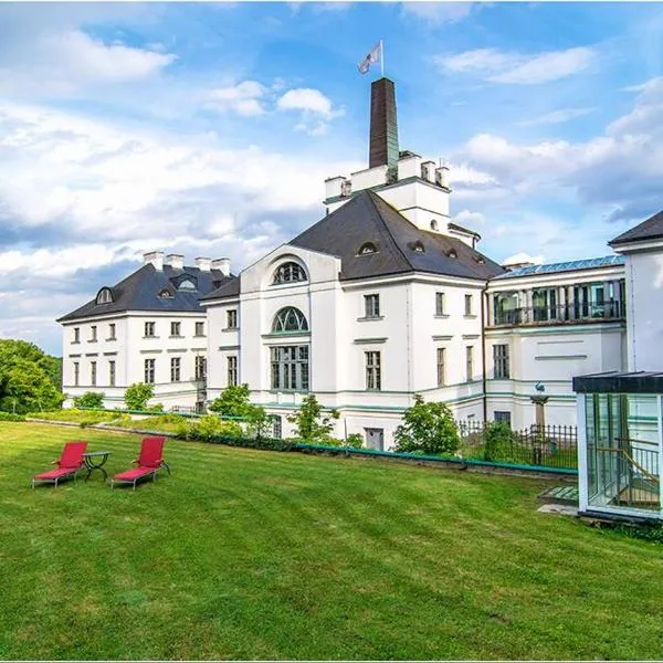 Schlosshotel Burg Schlitz, hotel in Hohen Demzin