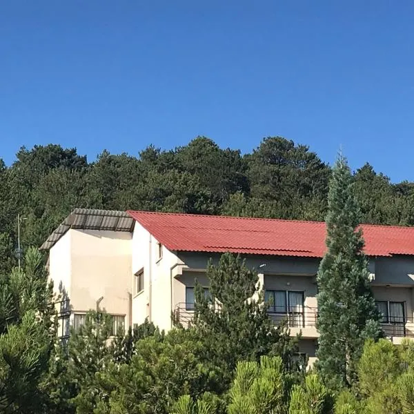 Health Habitat Hotel & Slimming Resort, hotel in Pedoulas