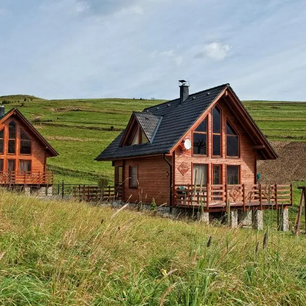 Winter & Summer - Chalets, Hotel in Ždiar