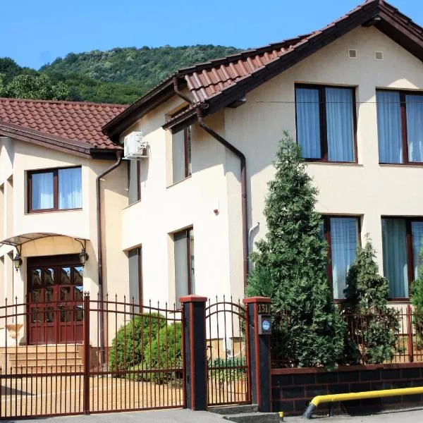 Silva House, hotel in Deva