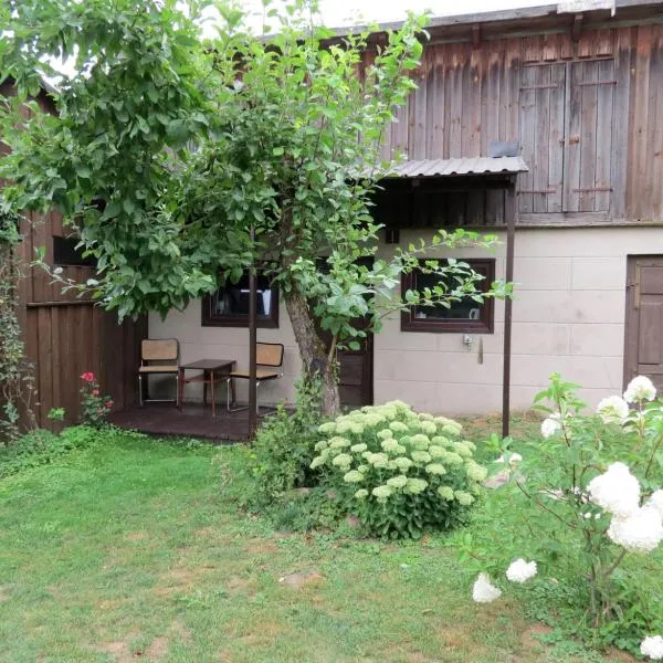 Peters House, hotel in Iecava