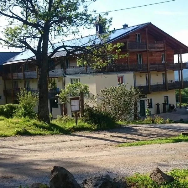 Berghotel Mooshütte am Arber, Naturidyll auf 950H, hotel in Lohberg