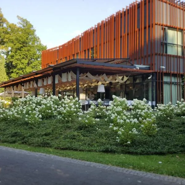 Park Boutique Hotel, ξενοδοχείο στο Βαράζντιν