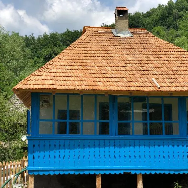 Casa Albastră, hotel v destinaci Băile Olăneşti