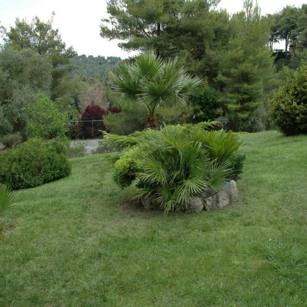 Traditional Villa With Bbq In Elani Resort