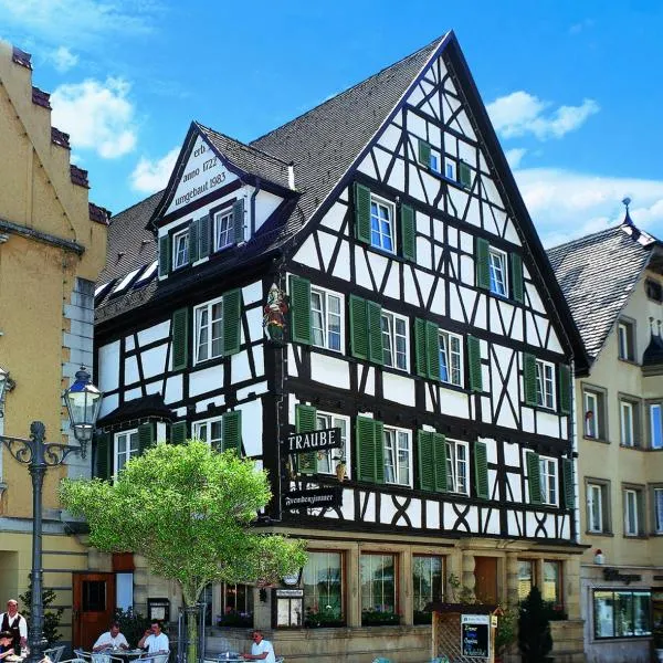 Hotel Traube, hotel v destinaci Sigmaringen