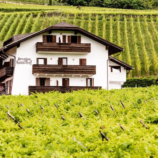 Pension Hasslhof: Caldaro şehrinde bir otel