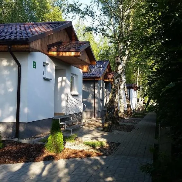 Camp Marina、スレンチンのホテル