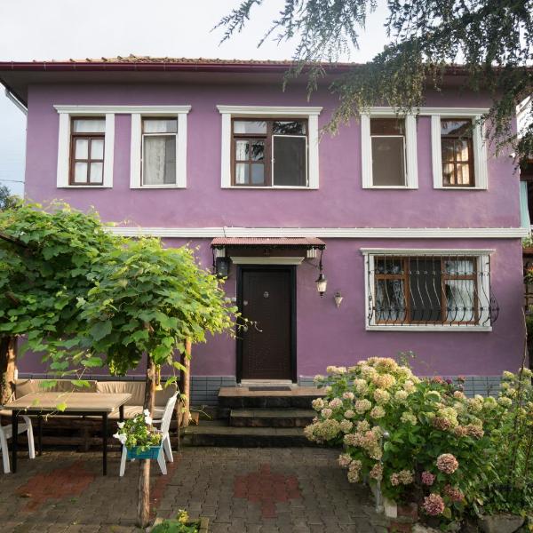 Villa Banizo Great Black Sea View Village House