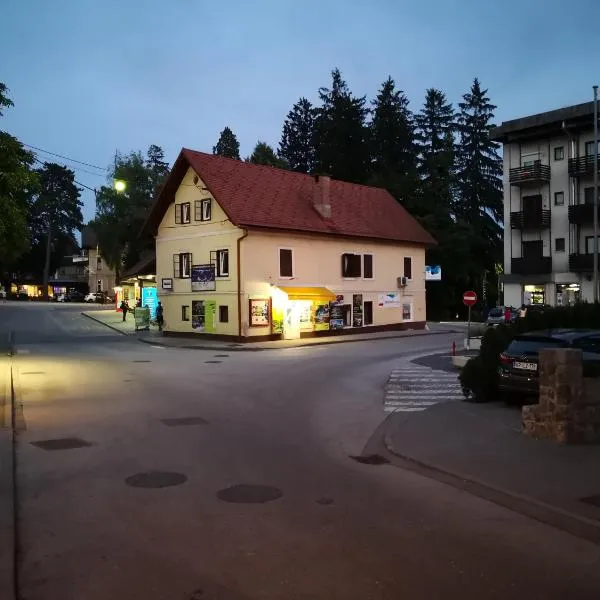 Bus Station Beds, Hotel in Bled