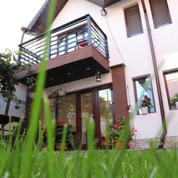 Upstairs Residence、トゥルグ・ジウのホテル