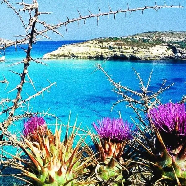 Lampedusa rosamarina, hotel di Lampedusa