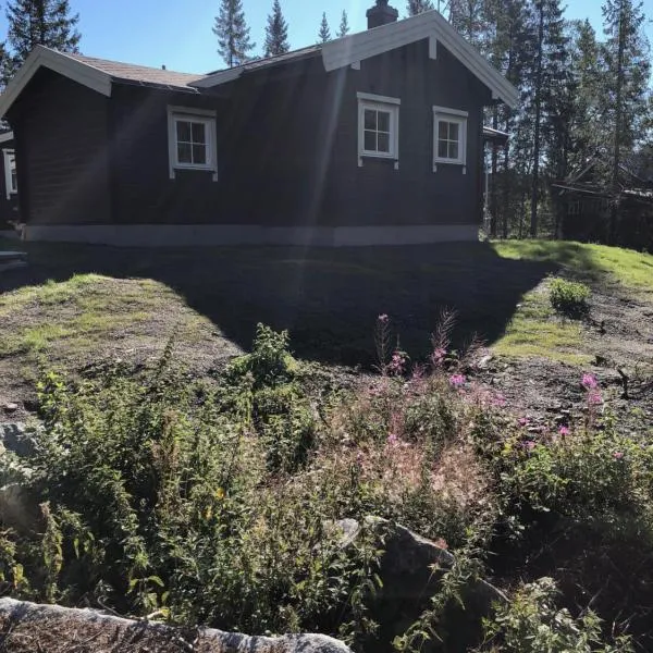 Fresh Familie Hytte Hemsedal, hotel i Hemsedal