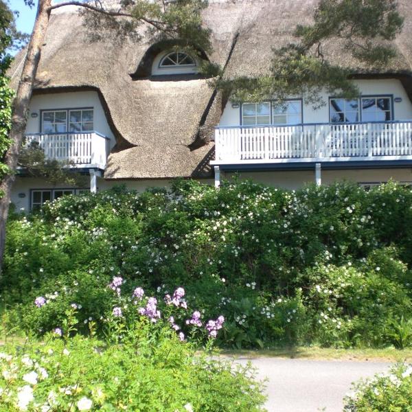 Achtern - Diek - am Strand