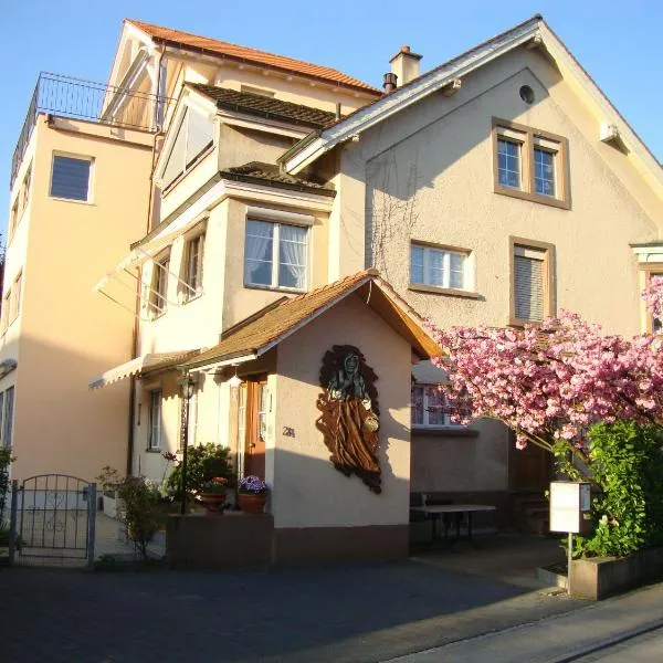 Niros Bed & Breakfast, ξενοδοχείο στη Βασιλεία