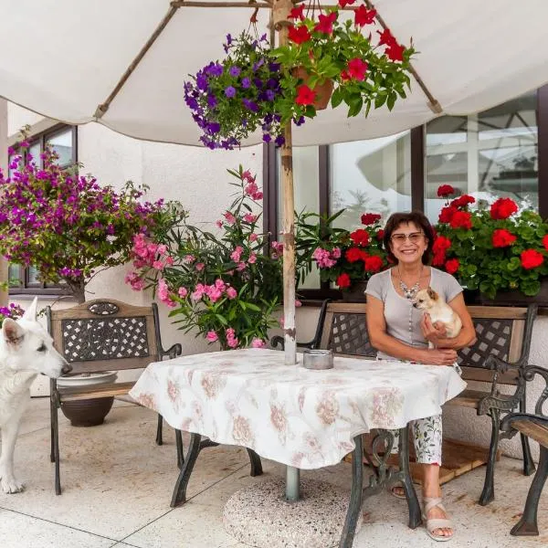 House Marija, hotel in Vilnius