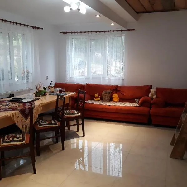 Casa Geanina, hotel v destinaci Colibiţa